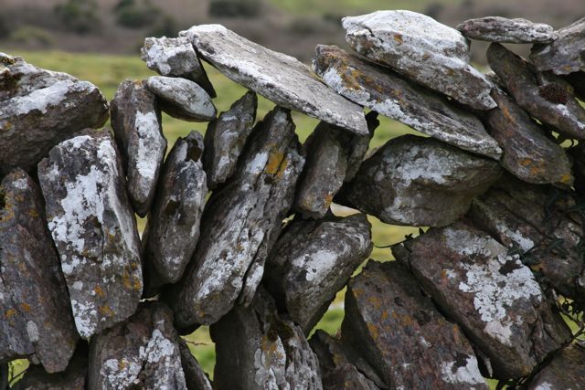 fence.jpg